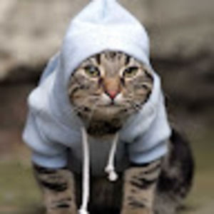 Meet your Posher, Devin